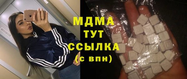 индика Ладушкин