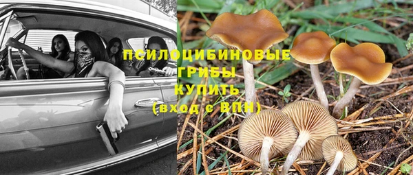 МДПВ Алзамай