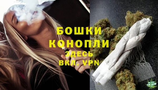 индика Ладушкин