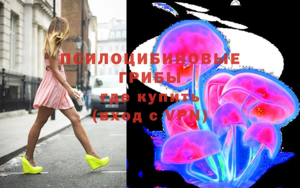 гашик Алексеевка