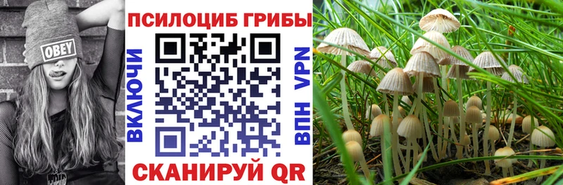 Псилоцибиновые грибы мицелий  Апшеронск 